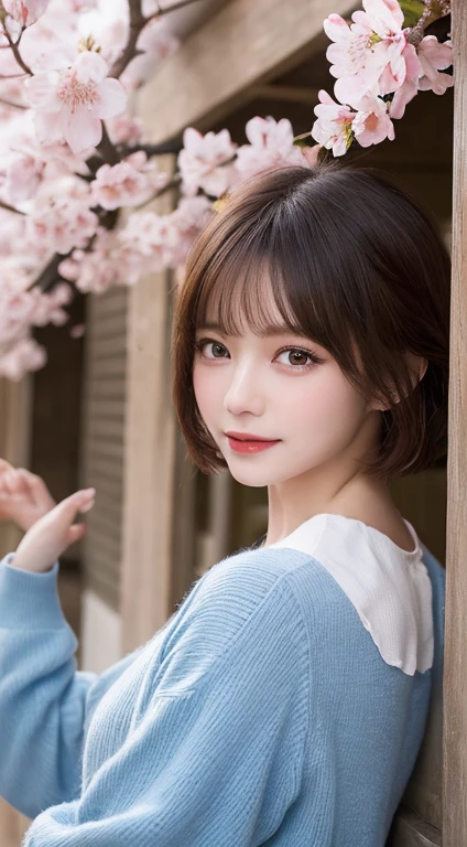 桜の妖精